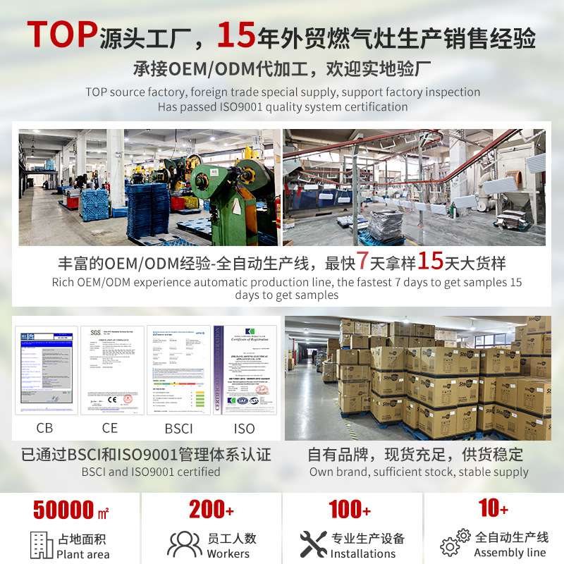 奥风 跨境欧规220V电烤箱 多功能30L外贸烤箱烘焙专用 oven