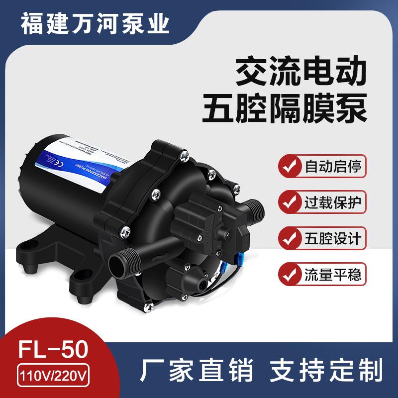 五腔110V220V交流电动水泵水箱储水转移泵家用设备供水高压清洗泵