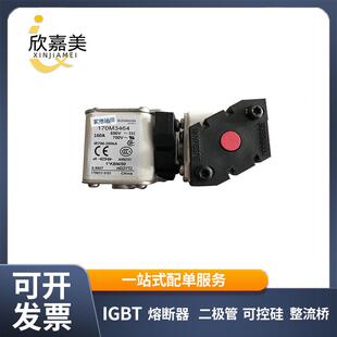 170M3465 型号齐全 快速熔断器 器件 量大价优 电子元 170M3464