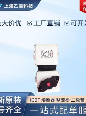 巴斯曼熔断器 170M6482 170M6483 170M6484 170M6485 170M6486