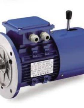 YEJ-100L1-4 2.2kw刹车电机
