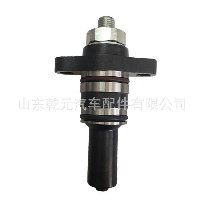 高压油泵柱塞 F019D03313 柴油泵柱塞总成