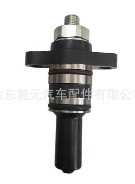 高压油泵柱塞 F019D03313 柴油泵柱塞总成