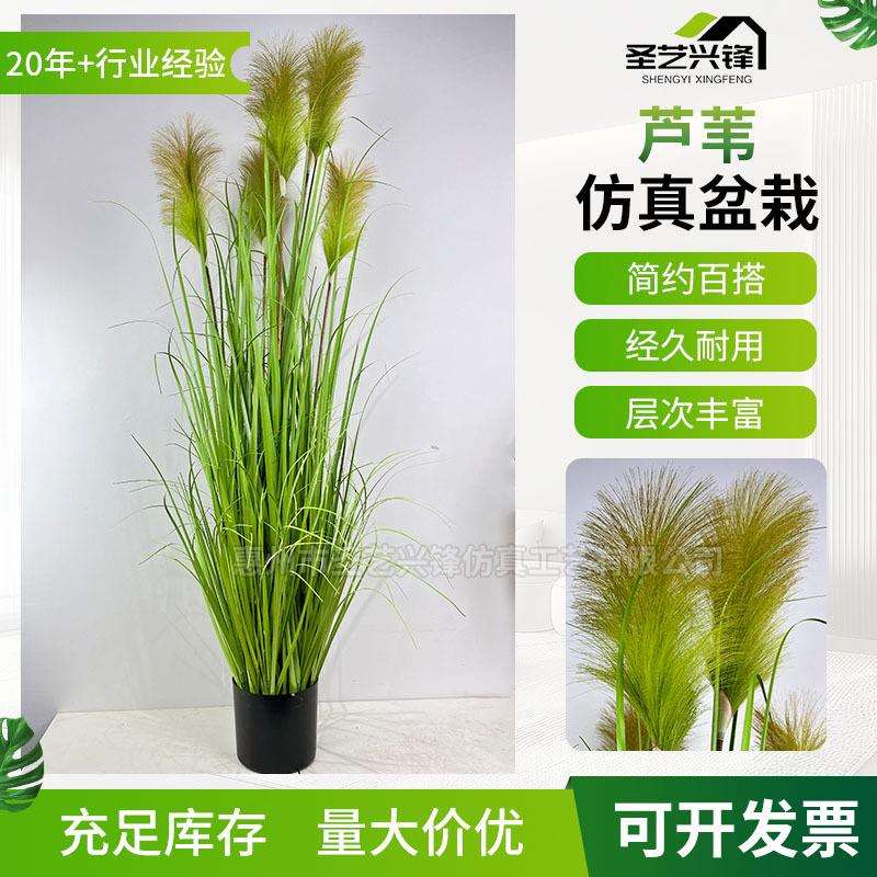 仿真叶芦苇人造洋葱草 假草绿植5头绿色芦苇草仿真花落地植物盆栽