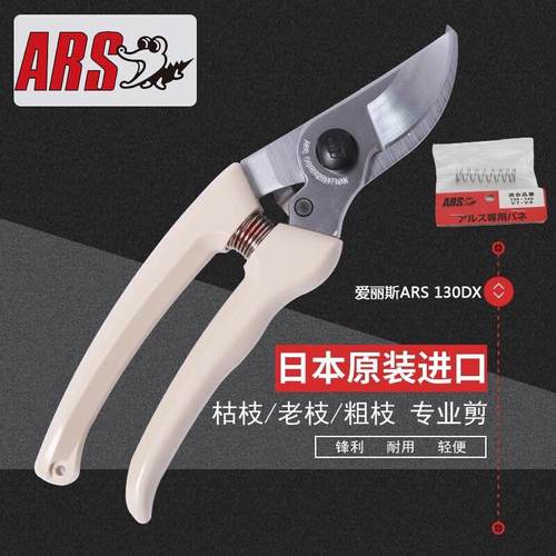 爱丽斯（ARS）日本爱丽斯