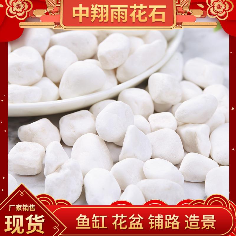 白色鹅卵石雪花白多肉盆栽铺面庭院造景鱼缸水池雨花石白色小石子