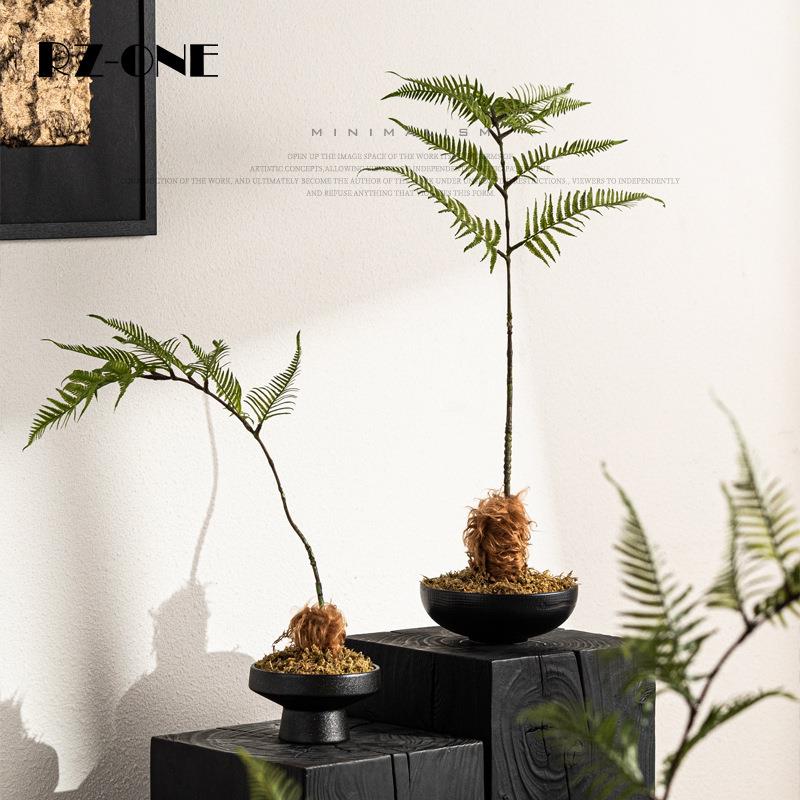 匠十三 新中式仿真文竹植物微景观造景花书房茶艺室案头装饰品