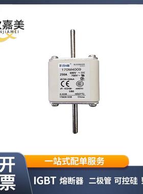 170M4009 170M4010 快速熔断器 电子元器件 库存充足 量大价优