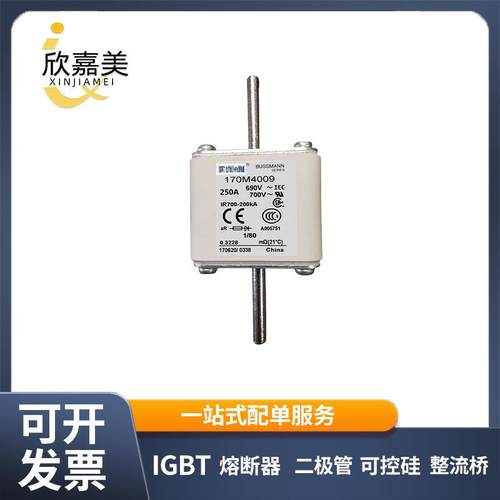 170M4009 170M4010 快速熔断器 电子元器件 库存充足 量大价优