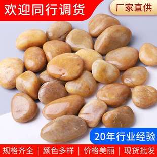 黄色抛光鹅卵石 厂家水池垫底鱼缸造景亮光雨花石铺路石头