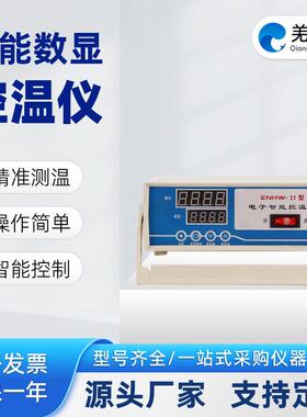 ZNHW-II控温仪控温器数显电子智能控温仪温度控制器上海羌强