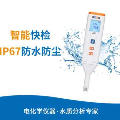 雷磁PH30系列笔试ph计EC-30电导率 PH-30P笔试ph计
