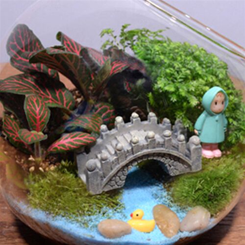 创意礼品 苔藓微景观 生态瓶套装 雨衣小梅13斜口瓶 家庭工艺品