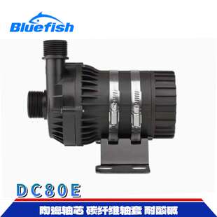 中科12/24V新能源电动汽车水泵音乐喷泉泵扬程10米以上工业