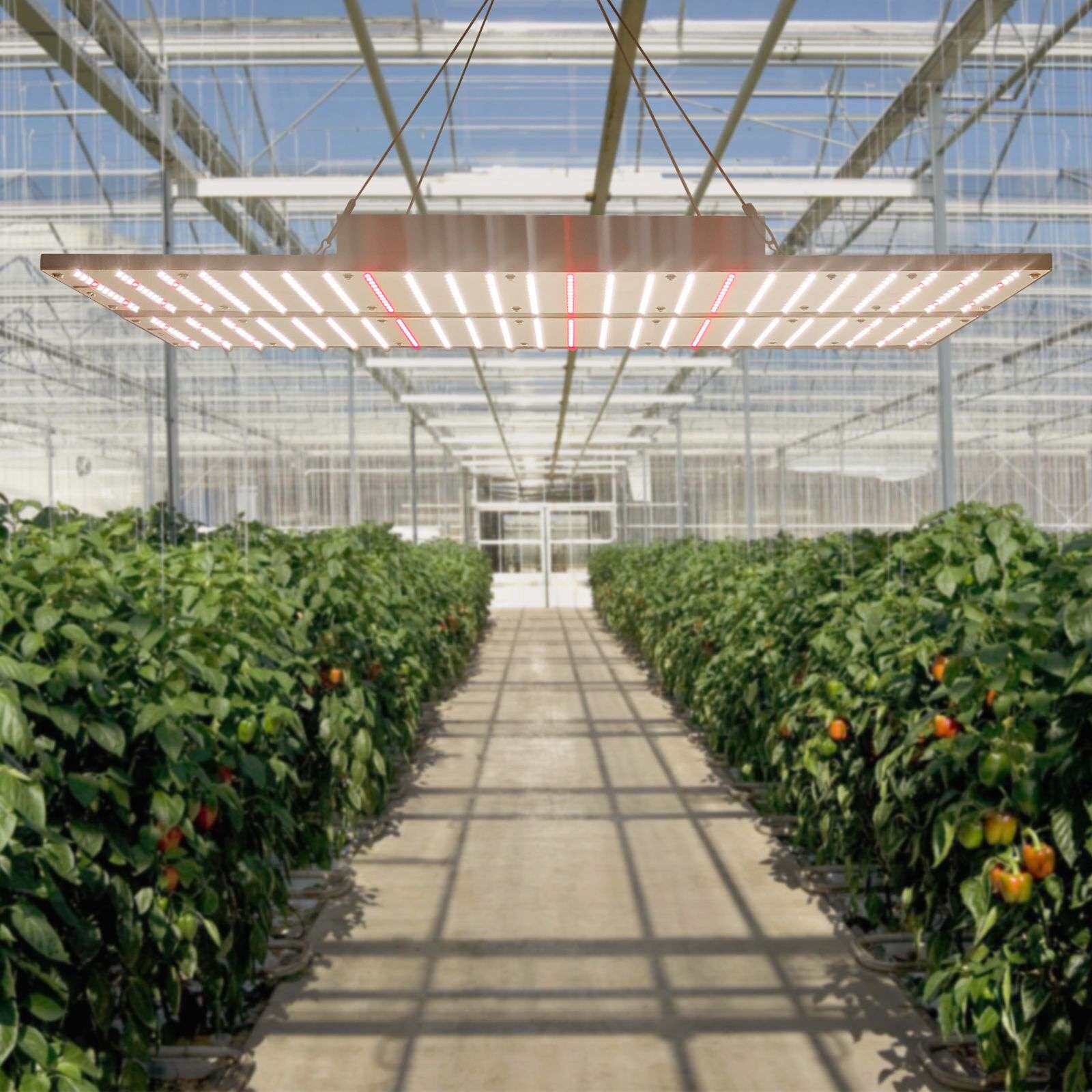 全光谱防水240W LED量子板植物生长灯可调光适合温室大棚补光
