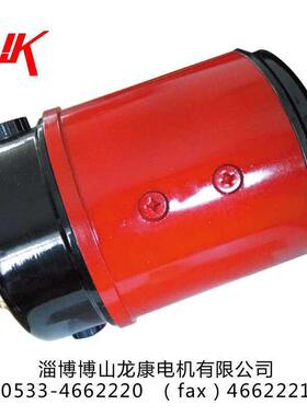 直流电机SZ伺服电机电磁串励他励电机S569110SZ06110SZ08S261S369