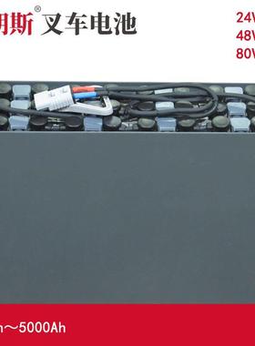 BT托盘搬运车LT-2200用蓄电池组3PZS21024VBT装卸叉车电池210Ah