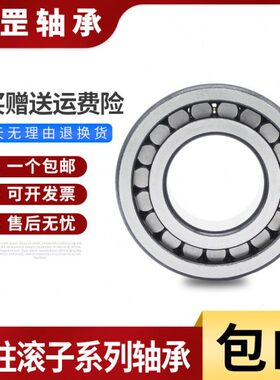 满滚子圆柱轴承 SL18/NCF 2204 2205 2206 2207 2210 3004 3005