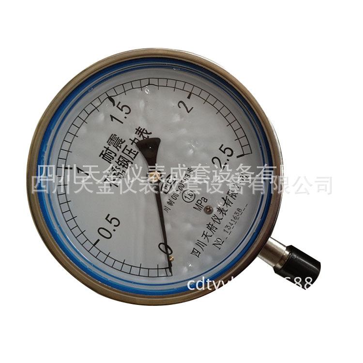 耐震压力表不锈钢天府压力表四川天府仪表压力表YN-150BF径向螺纹
