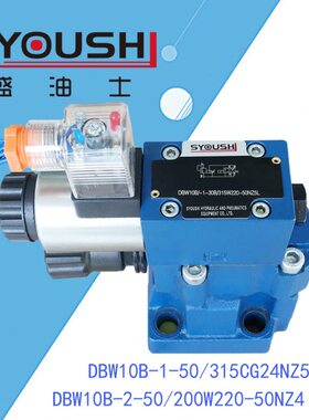 电磁溢流阀DBW10B-2-50/200W220-50NZ4,DBW10B-1-50/315CG24NZ5L