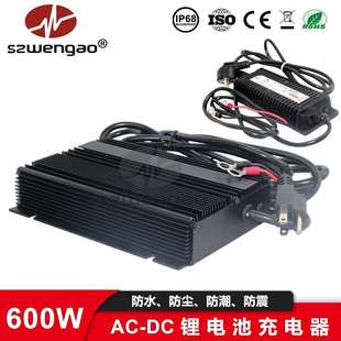 房车机器人磷酸铁锂电池大功率充电器 48V 带通讯 265VAC充12V