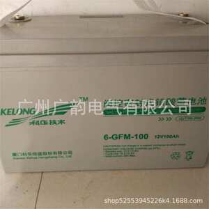 KELONG科华蓄电池12V100AH KELONG蓄电池 科华6-GFM-100蓄电池