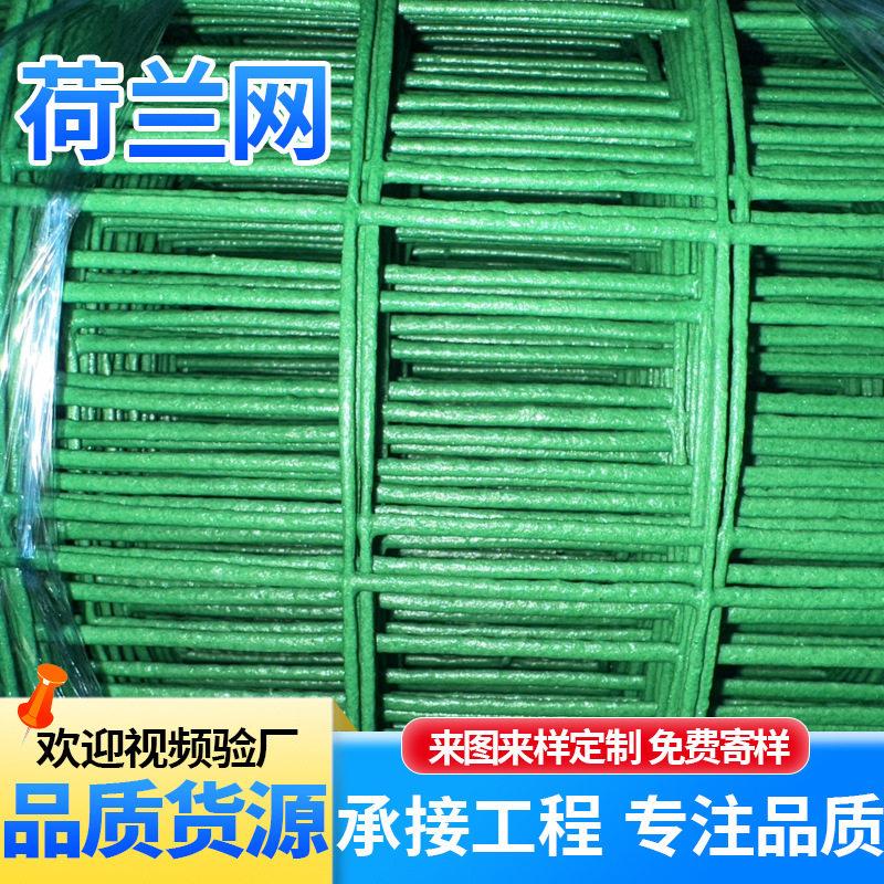 圈山圈地用荷兰网硬塑铁丝网养殖牛羊防护隔离农村庭院钢丝围栏网