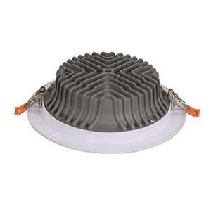 l工厂真销ed筒筒灯嵌入式 08寸9寸1寸灯客厅24w天花灯30w高FFS亮筒