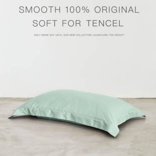 亲肤丝0滑凉感6支兰精品天丝单枕套莱赛头尔家用枕保护套一8xs对
