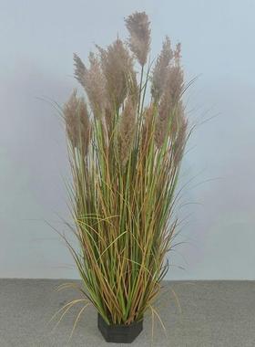 景植栽物盆装饰假盆栽造大型芦苇KB6004假花仿真花盆景摆件仿真绿