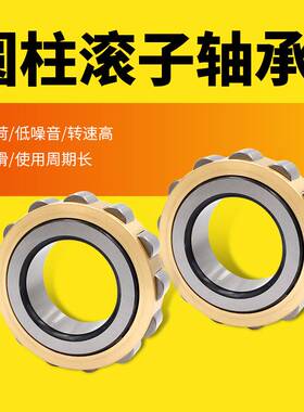 DTU圆柱滚子轴承NJ422EM/NJ424EM/NJ426EM/NJ428EM轴承