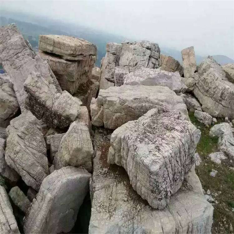 龟纹石庭院假山设计 园林假山流水灵璧石龟纹石设计施工景观