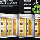 晾鸭柜 五花肉烤鸭智能晾胚柜双门可选 商用烧鹅烧腊乳鸽风干柜