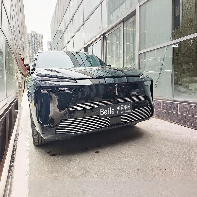 魏牌蓝山防虫网前脸改装件金属中网外观装饰条保险杠亮条配件