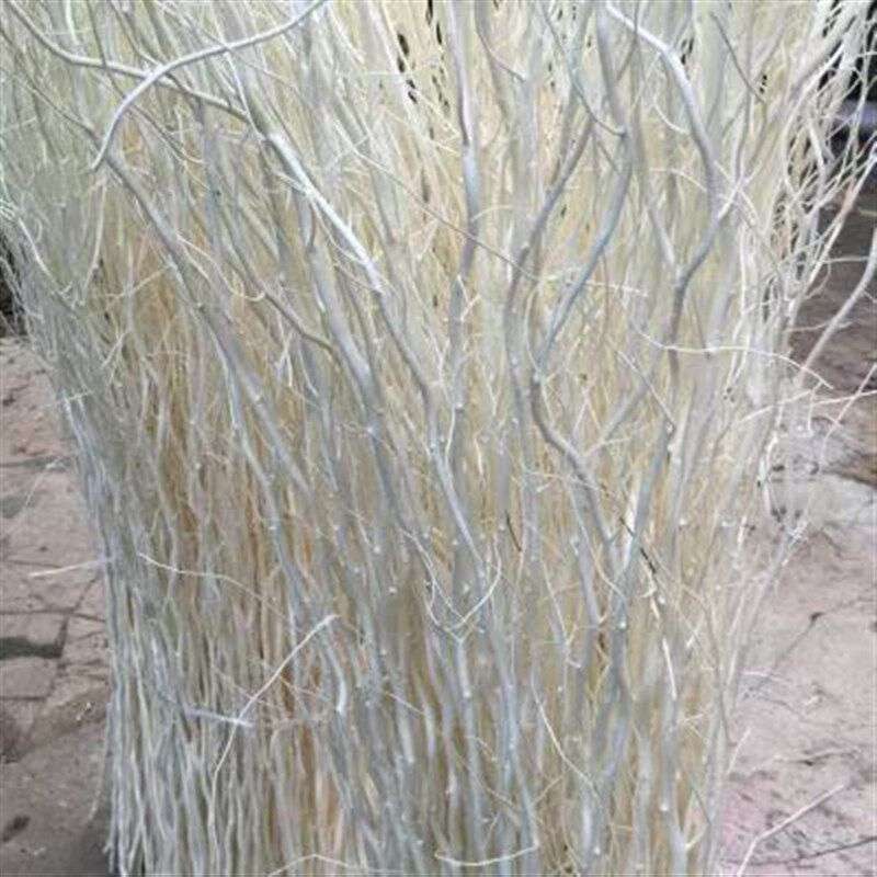 龙柳干枝干树枝树装饰隔断干花婚庆拱门橱窗玄关白干枝天然干枝