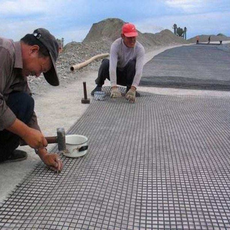 塑料网格加厚养殖网土工格栅圈地网修路网围栏防护家禽漏粪网防逃