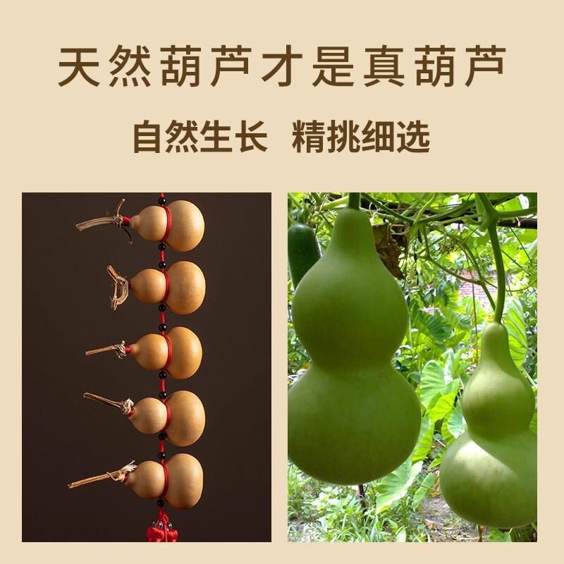 天然小葫芦挂件门帘装饰长串文玩真葫芦门口挂饰家居阳台客厅摆件