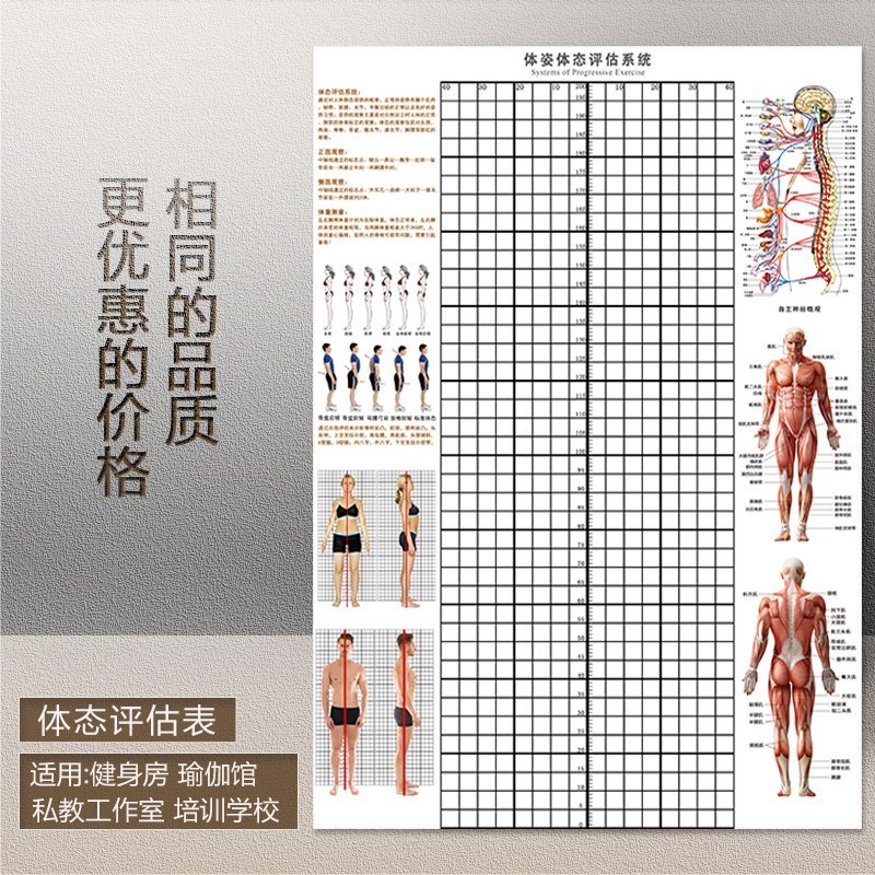 体态评估图健身房体测表瑜伽私教站姿形体脊椎修复身体装饰