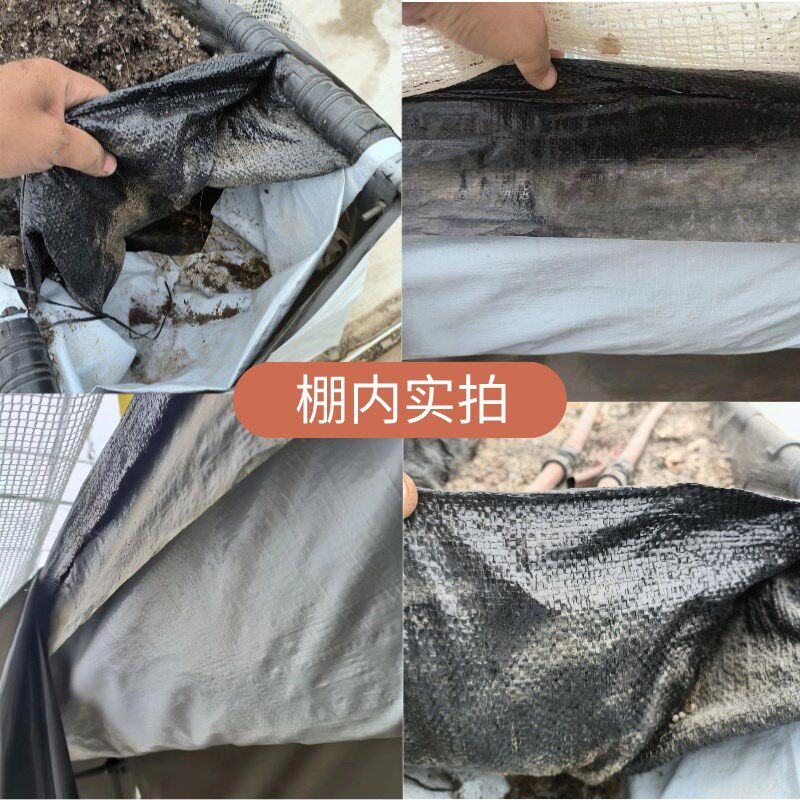 草莓种植基质兜保肥支撑布温室大棚无土栽培设备基质兜