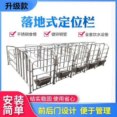 落地式母猪定位栏限位栏猪用栏位养猪设备新款加厚母猪栏位猪圈