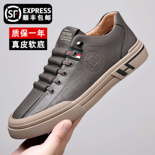 真皮软底透气男士 2023新款 秋季 百搭休闲皮鞋 男款 潮流休闲板鞋 男鞋