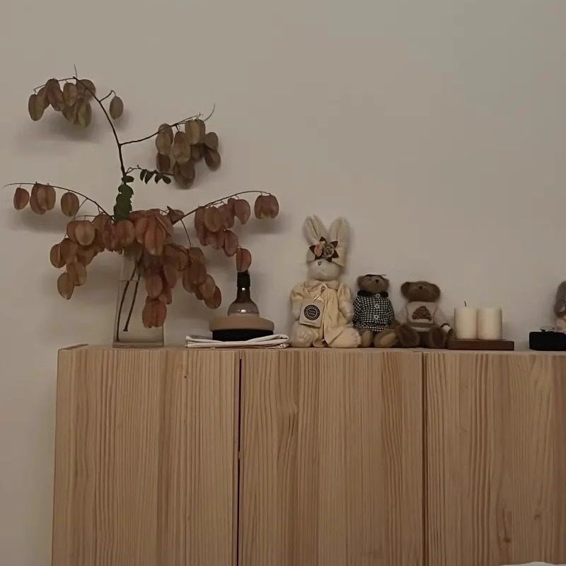 全实木储物柜客厅卧室门厅阳台落地壁柜铰炼开关门可定制尺寸图片