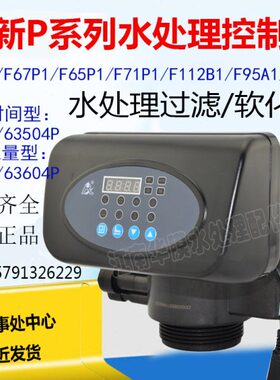 润新阀 顶装10吨净水设备软化控制阀F74A1/A3控制器53540B F112B1
