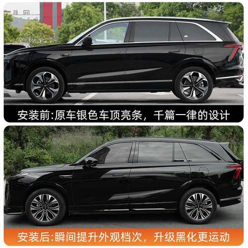 魏牌蓝山车窗饰条黑化门边条黑武士车顶行李条叶子板车标改装配件
