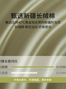 床上四件套全纯棉四季通用春床夏三件被套床单套床笠轻奢MD12108