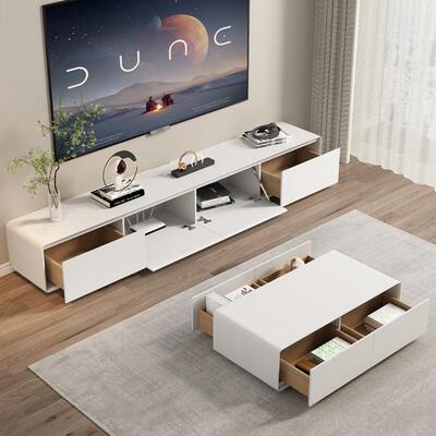 组合小新户型19111实木极简客厅地柜白色落地约电视品现代视简茶