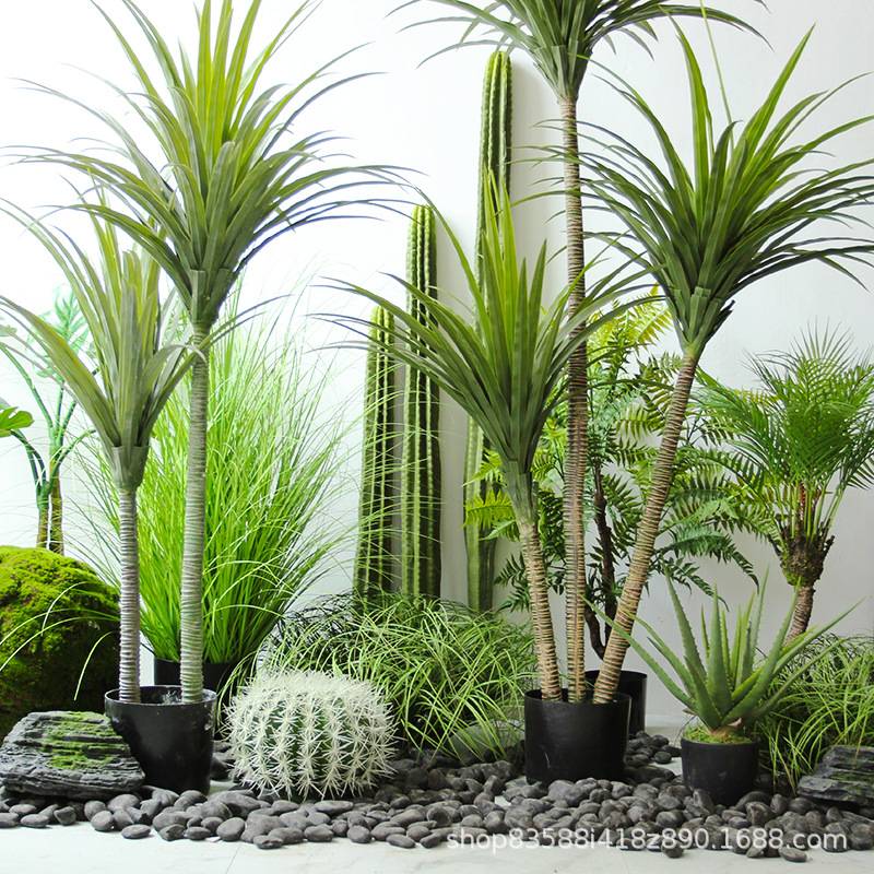 仿真长叶龙舌兰植物热带沙漠假绿植室内植物角软装造景观装饰摆件