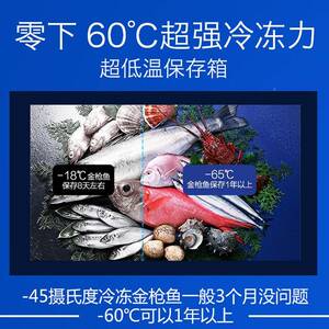 立德60°冷冷冻冰柜柜商用卧式展示495急冻-柜单温冷冻冷深藏低温