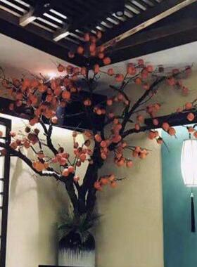新柿中子树假果树式庭院造景盆景绿植室内装饰树F76559S9款榕福园
