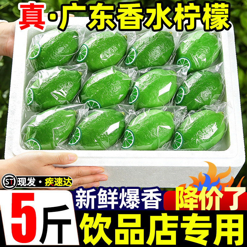广东香水柠檬5斤大果新鲜